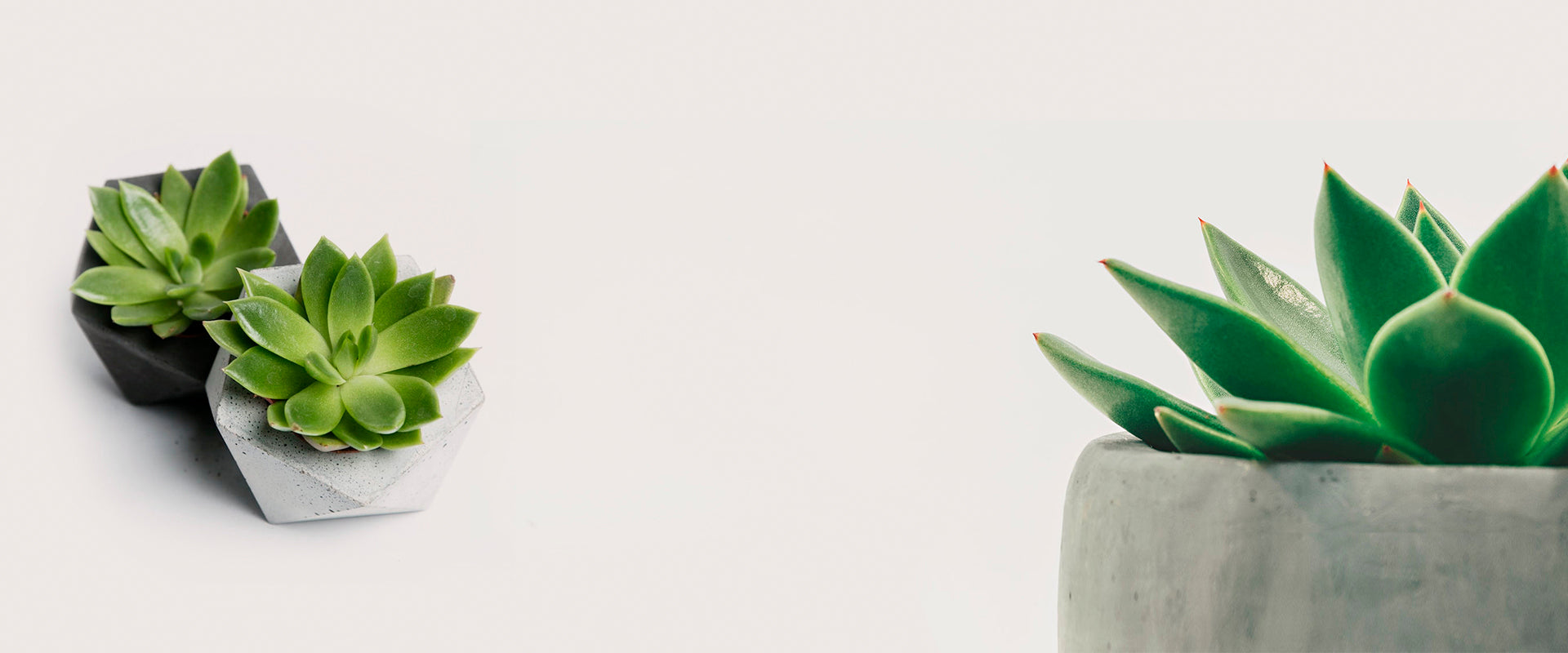 BLACKERY PRESENT NEW<br>COLLECTION 2019