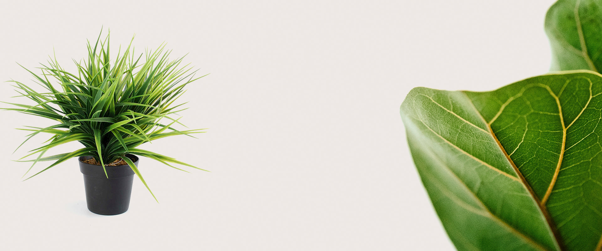 BLACKERY PRESENT NEW<br>COLLECTION 2019