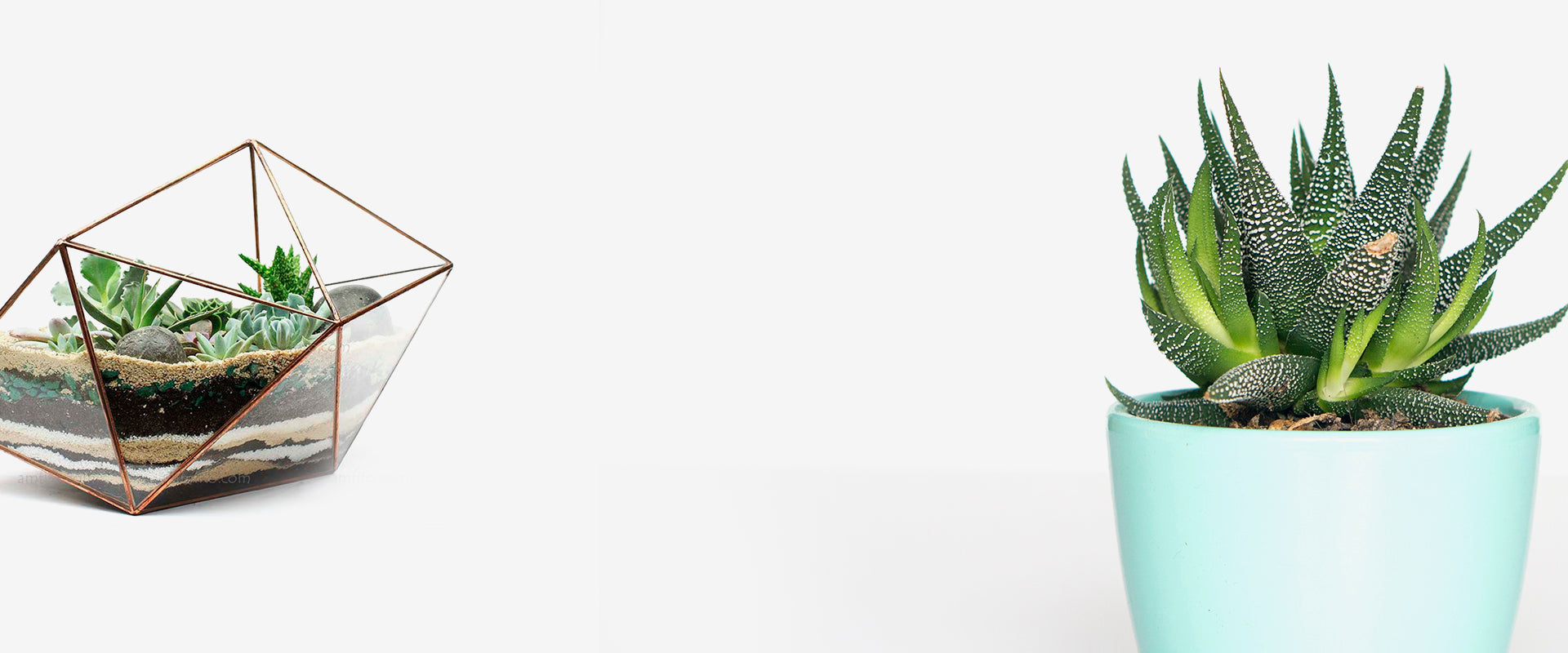 BLACKERY PRESENT NEW<br>COLLECTION 2019