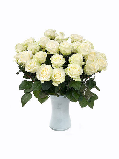 White Roses